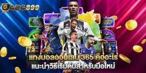 แทงบอลออนไลน์ 365 คืออะไร แนะนำวิธีเริ่มต้นสำหรับมือใหม่